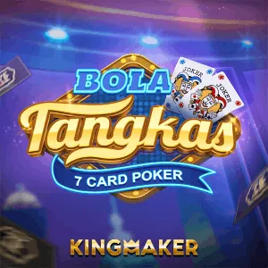 IDN Poker partner